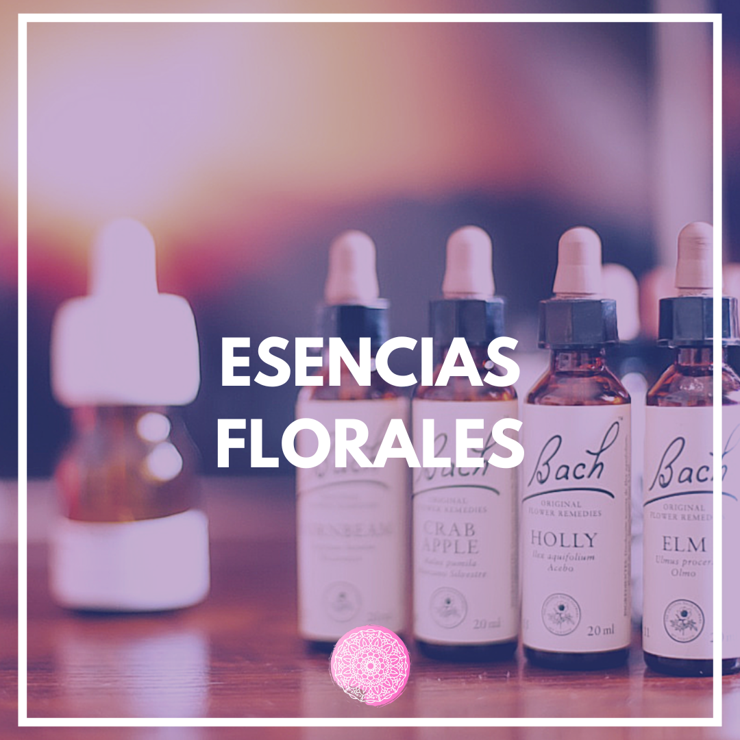 flores de bach