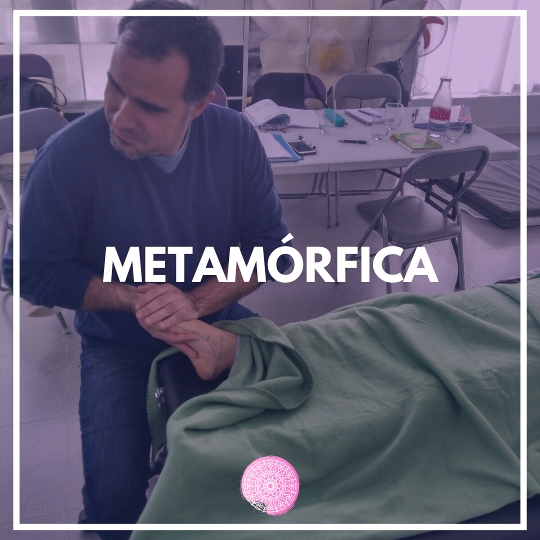técnica metamórfica