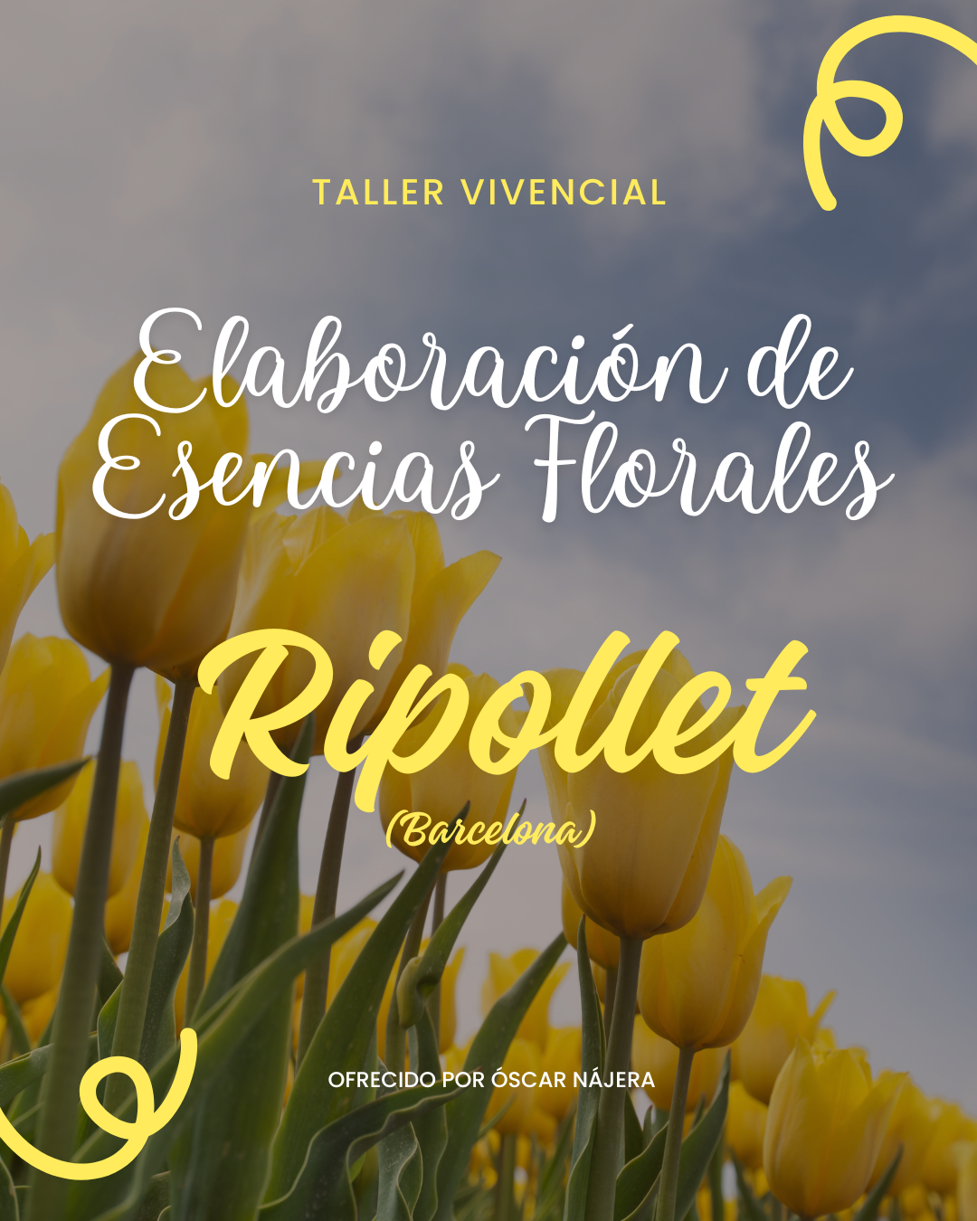 taller esencias florales