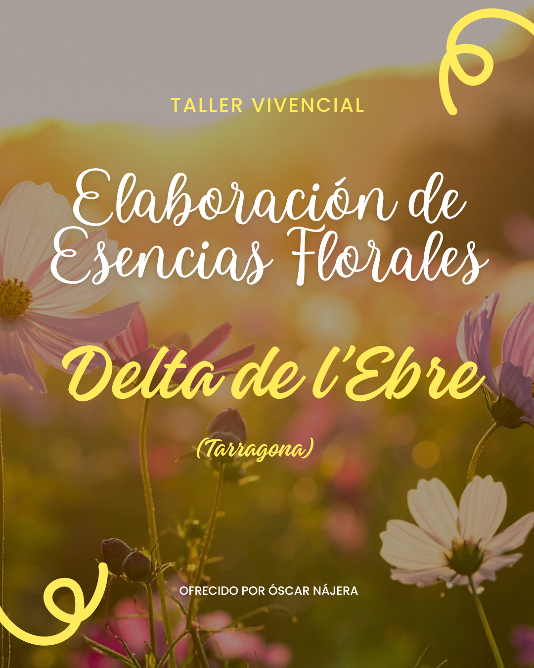 taller esencias florales