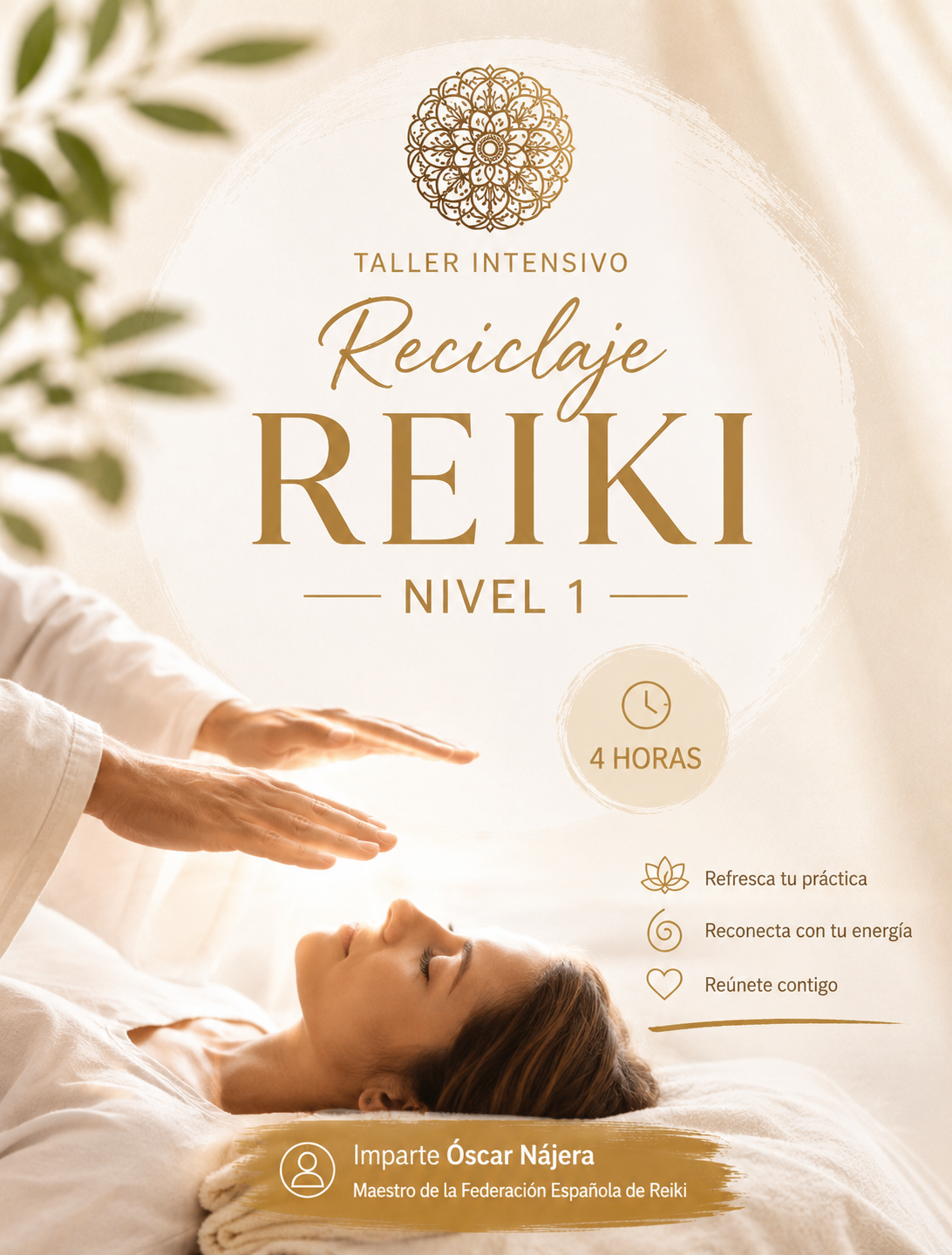 reciclaje reiki 1